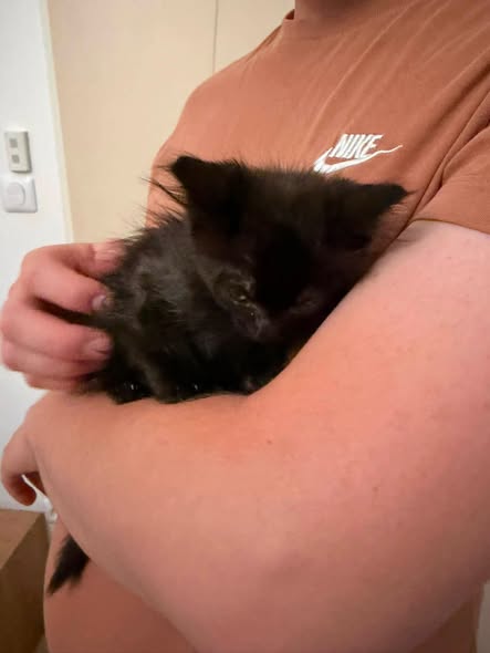 Adopter Cosmos