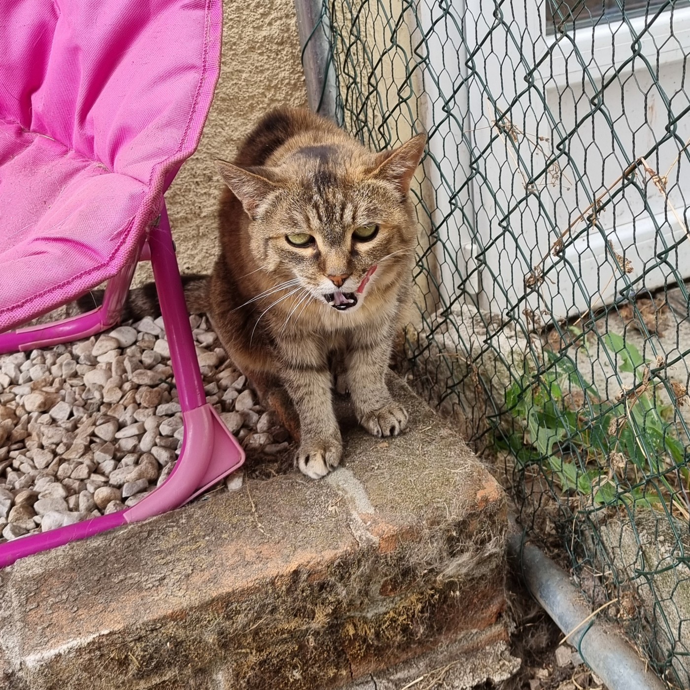 Adopter BILYTIS