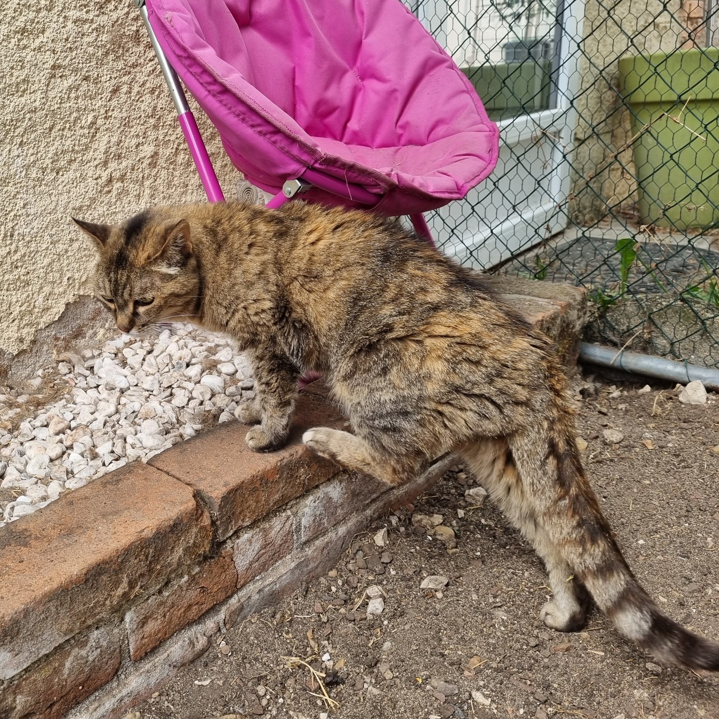 Adoption BILYTIS