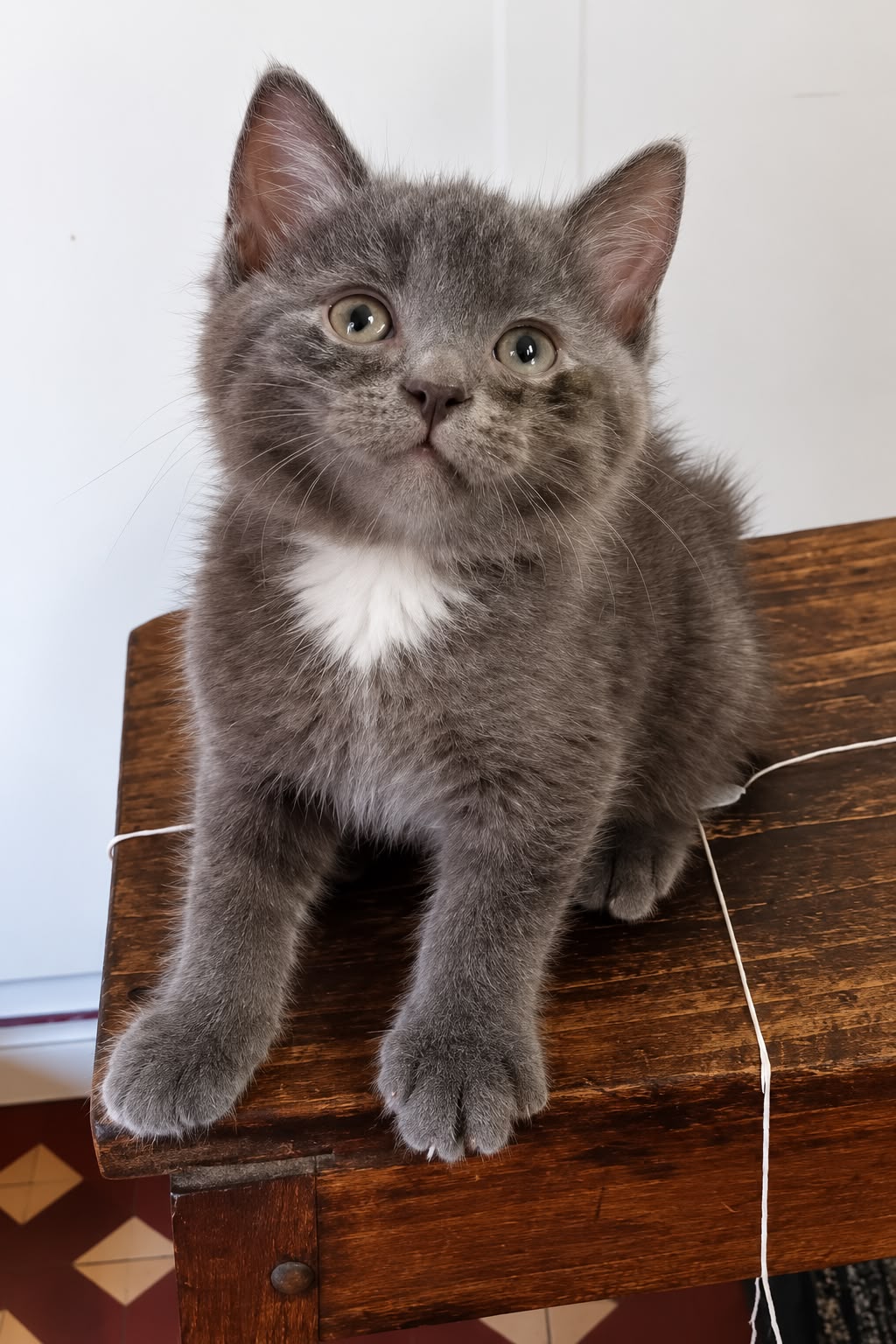 Adopter Emile