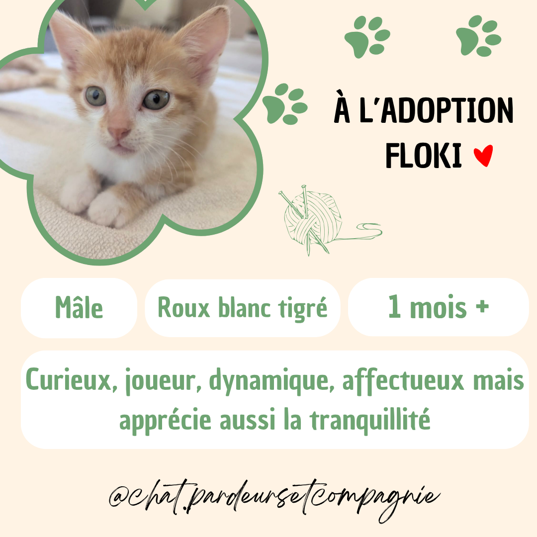Adopter Floki