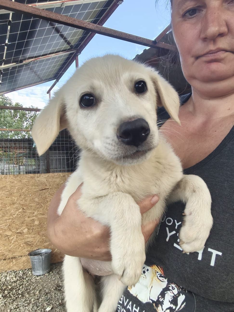 Adoption SABINA