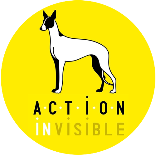 Logo association Action invisible - Réseau pour les oubliés des refuges espagnols
