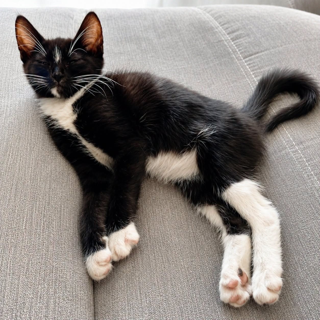 Adopter MANILLE