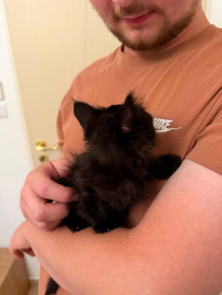 Adopter Cosmos