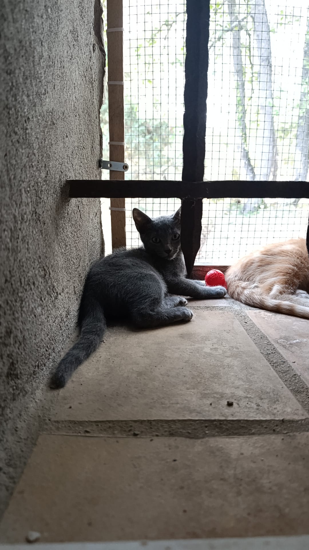 Adopter IO et PHOBOS