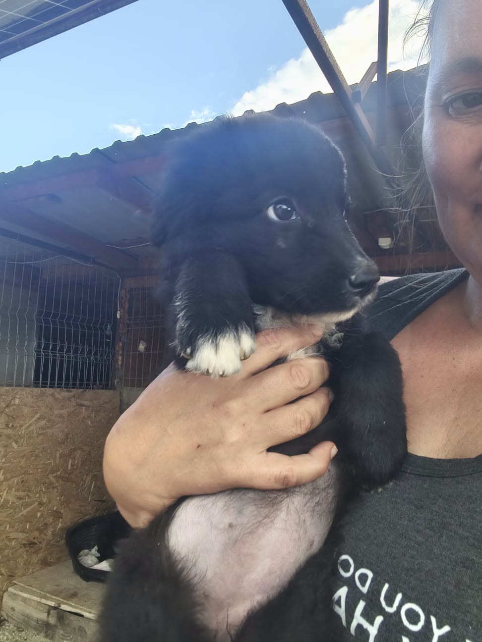 Adoption SONIA