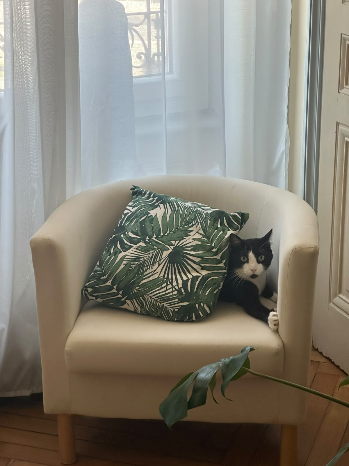 Adopter Marius