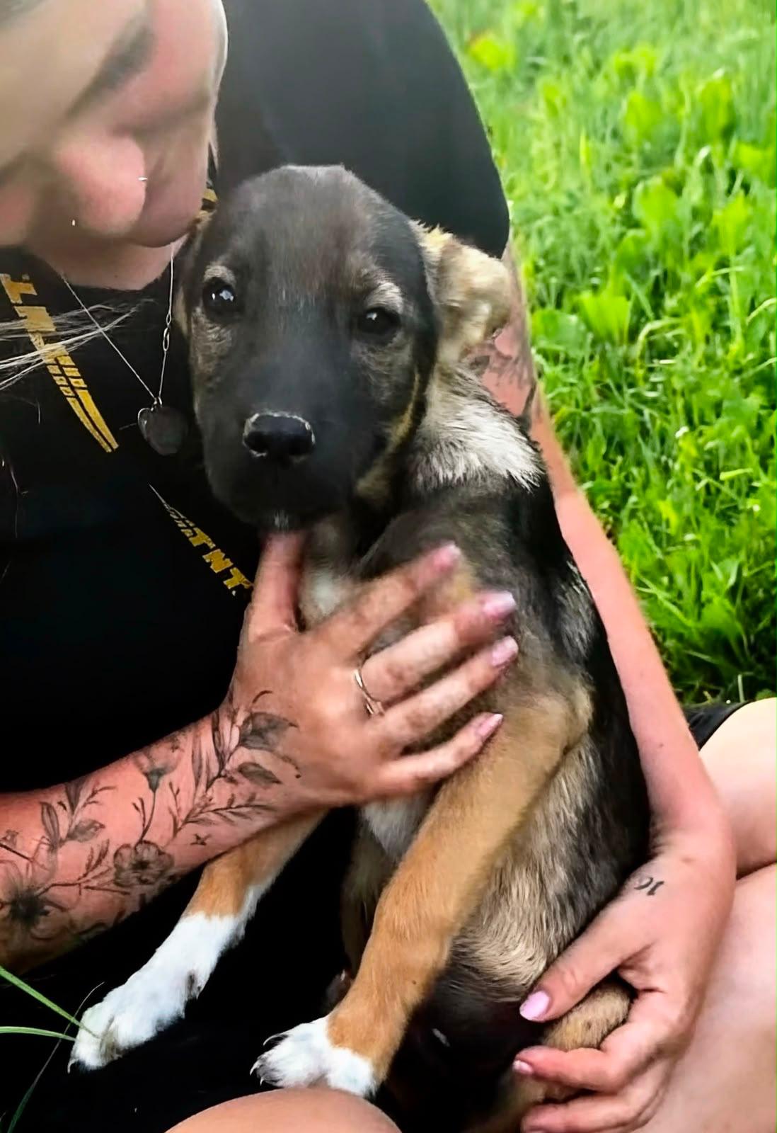 Adopter BRIO