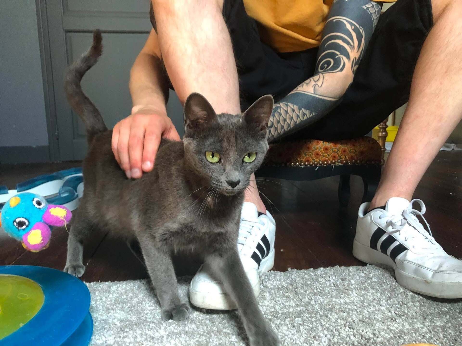 Adopter Smoke