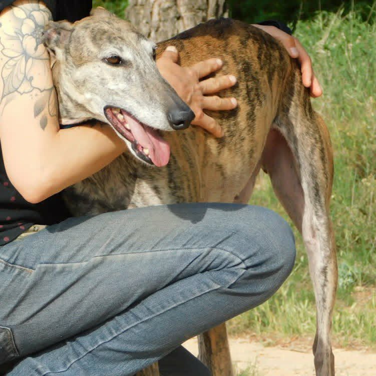 Adopter KENIA