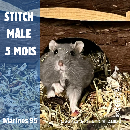 Adopter Stitch