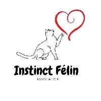 Logo association Instinct félin