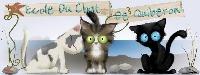 Logo association Ecole du chat de Quiberon - Refuge Kernavest